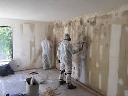 Why You Should Choose Our Mold Remediation Services in Ladson, SC